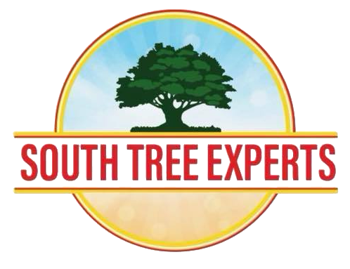 The South Tree Expert